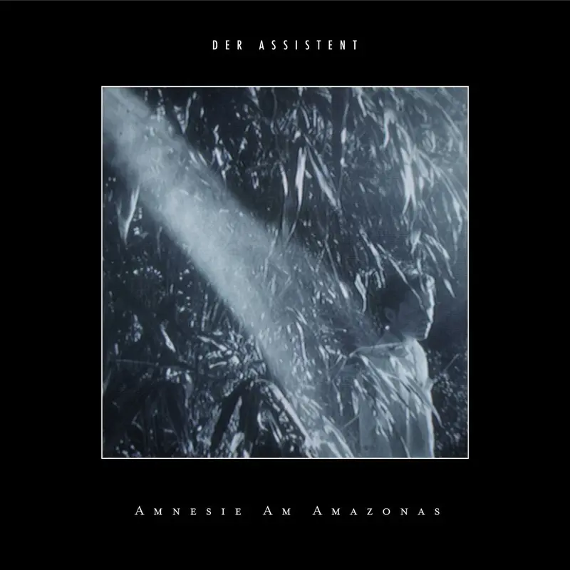 Amnesie am Amazonas cover