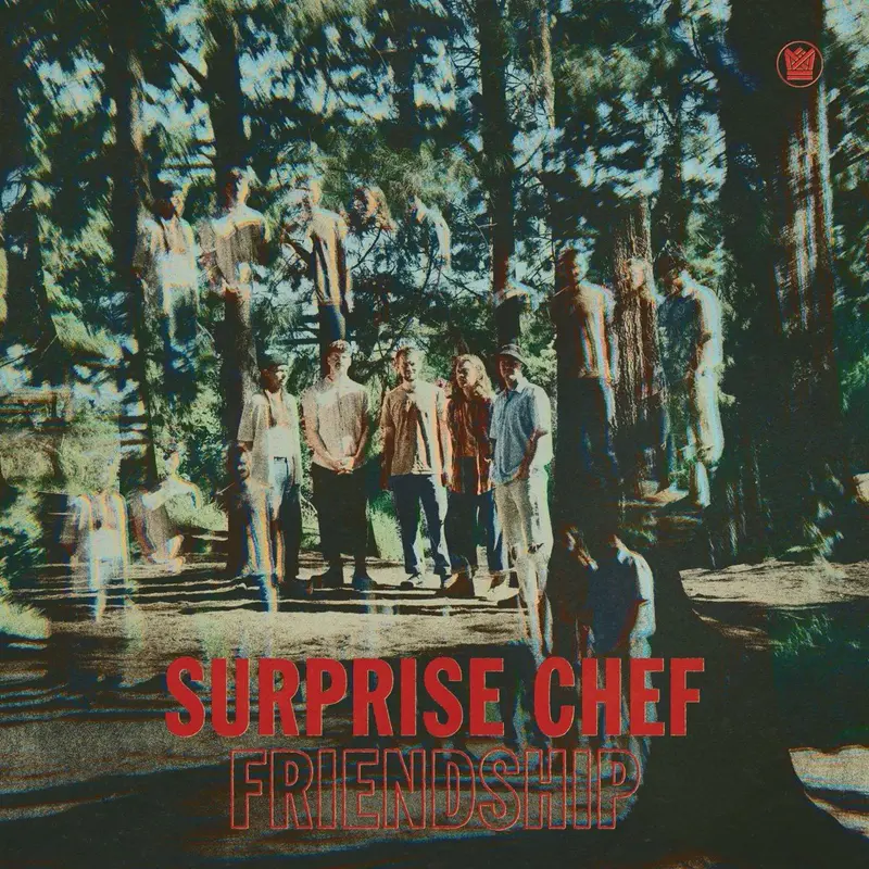 Friendship cover