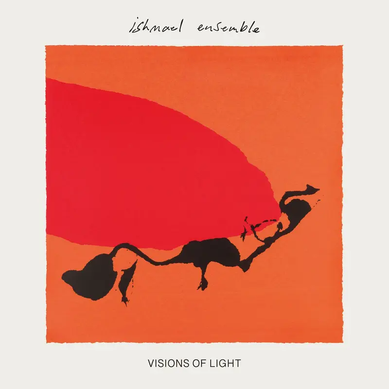 Visions of Light cover