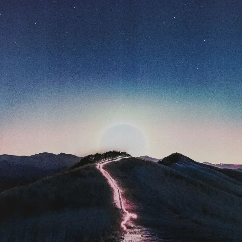 The Exit Diaries cover