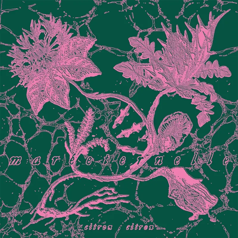 Maréeternelle cover