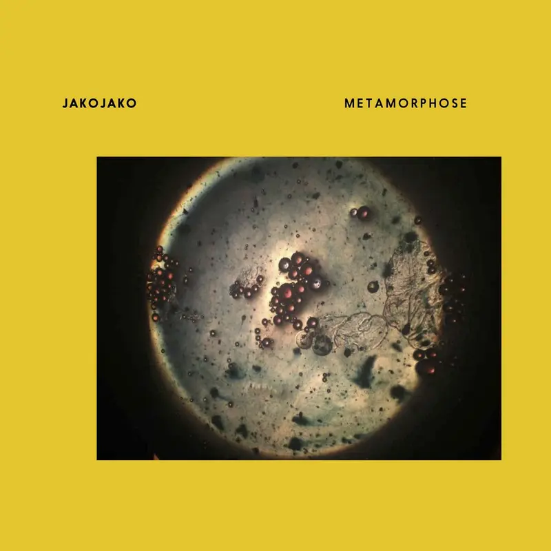 Metamorphose cover