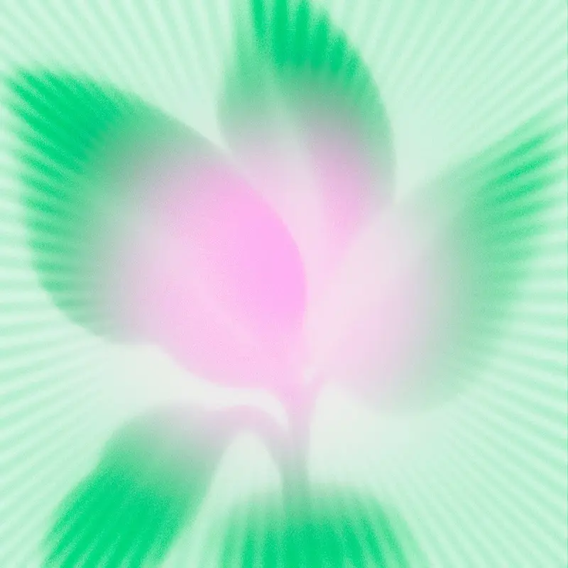 The Plant Spirits cover