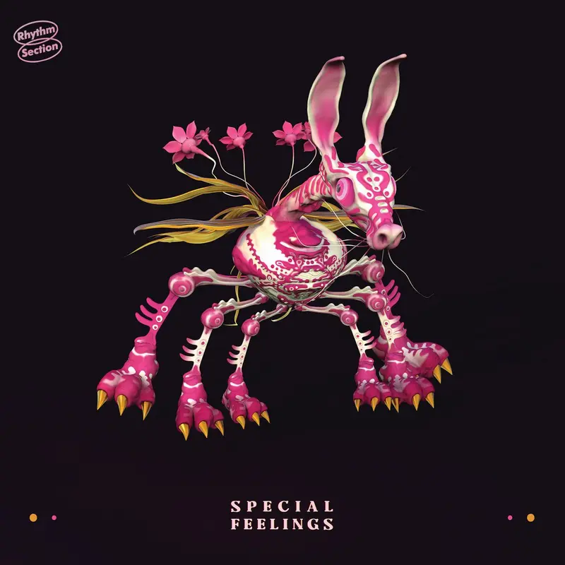 Special Feelings cover