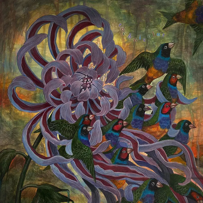 technicolor cover