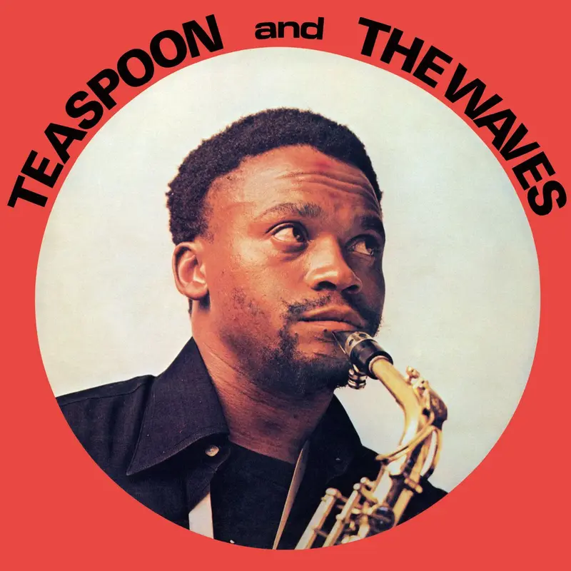Teaspoon & The Waves cover
