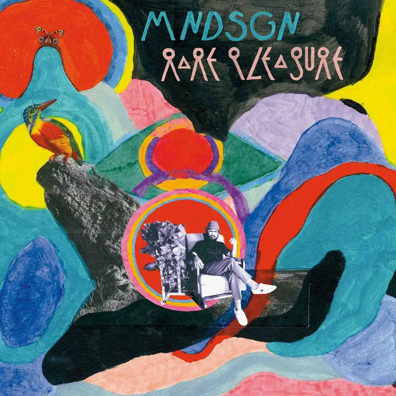 Rare Pleasure cover