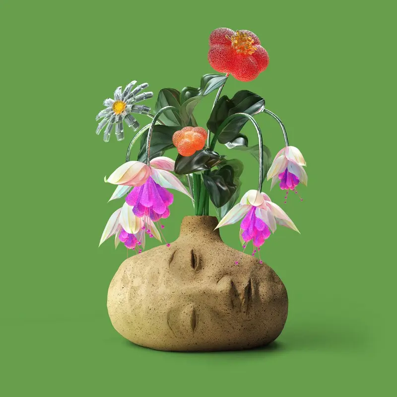 Dreams cover