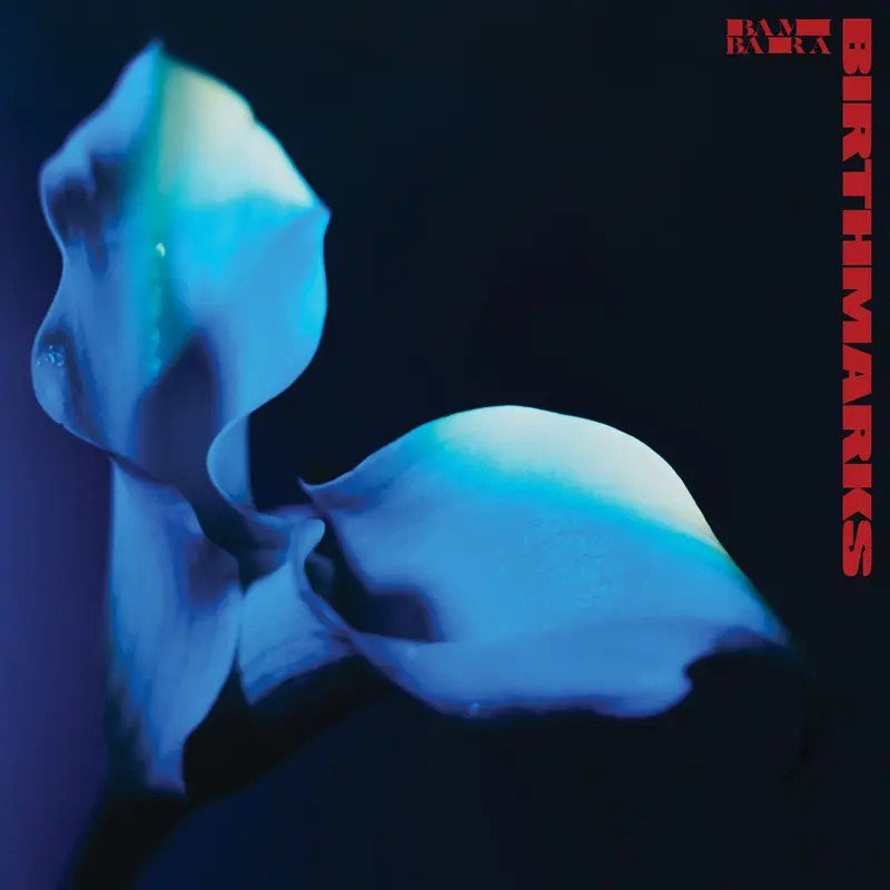 Birthmarks cover