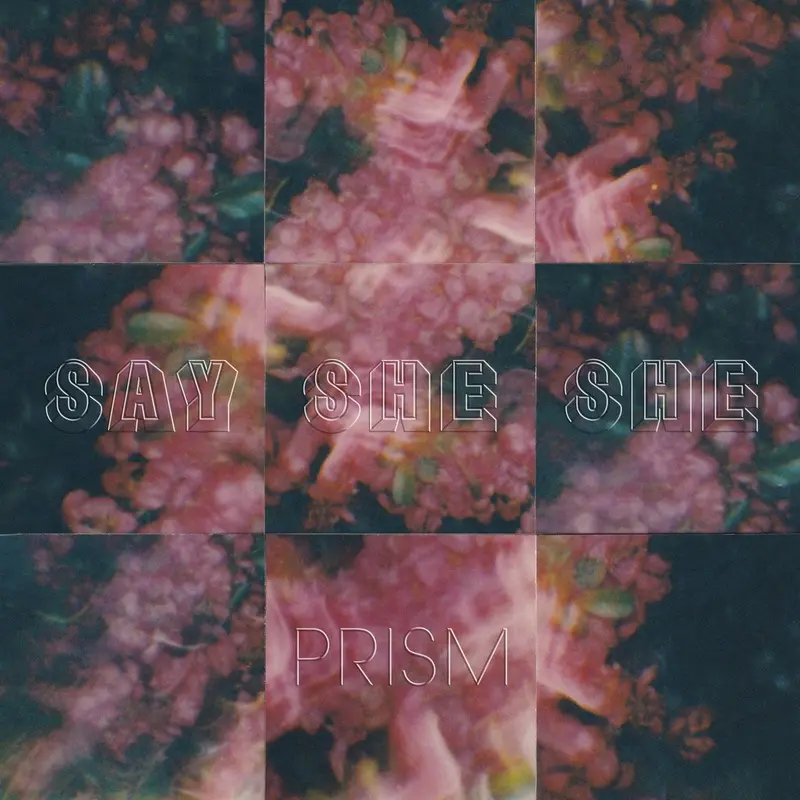 Prism cover