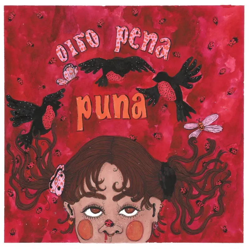 Puna cover