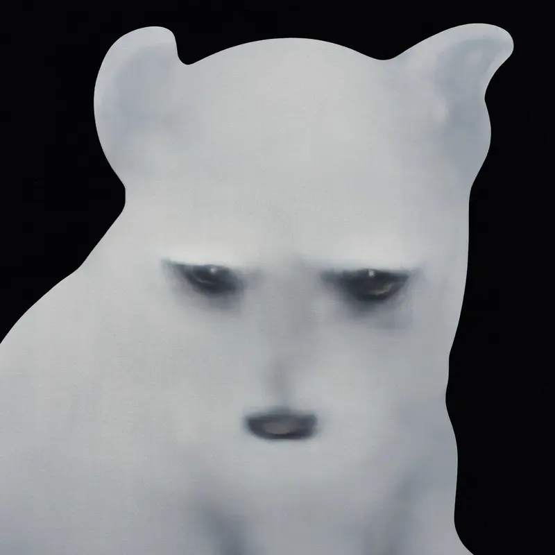 First Dog cover