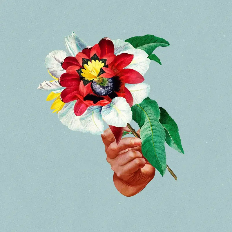 Kingdoms in Colour cover