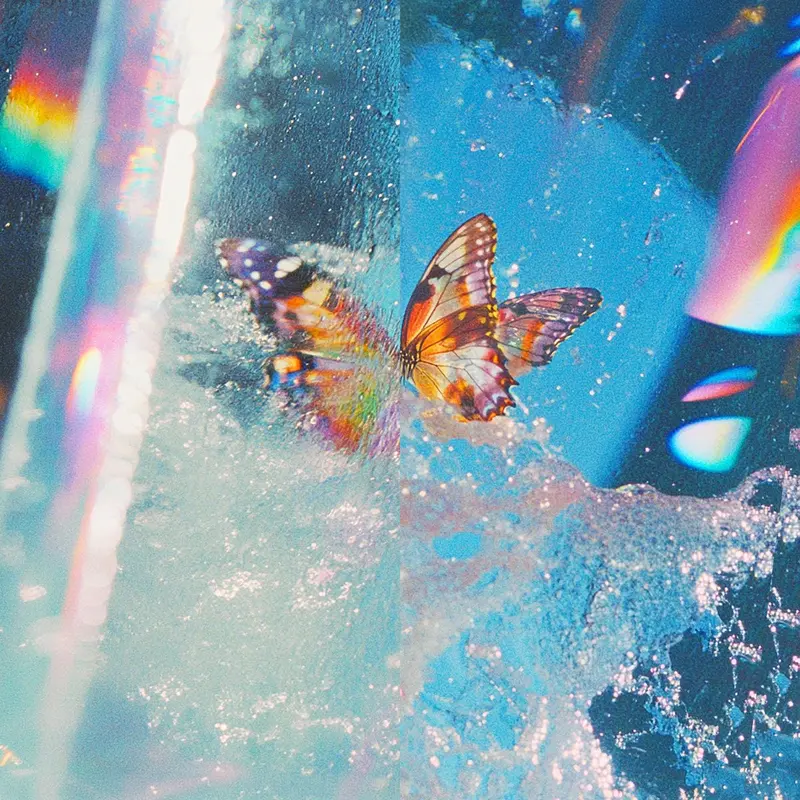 Butterfly cover