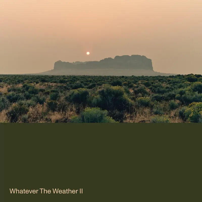 Whatever The Weather II cover
