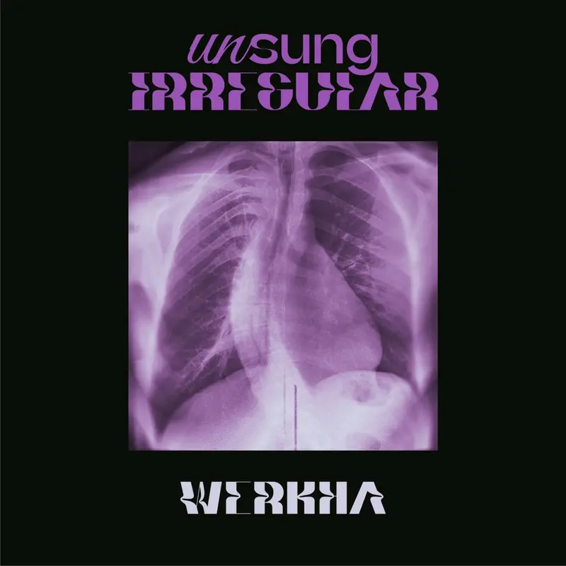Unsung Irregular cover