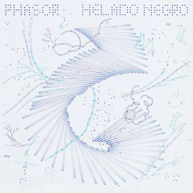 PHASOR cover