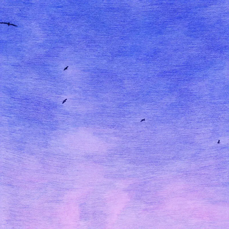 In My Dreams (I’m a Bird and I’m Free) cover