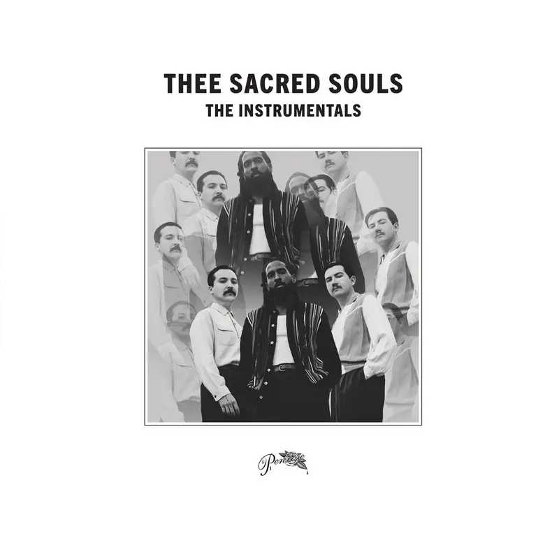 The Instrumentals cover