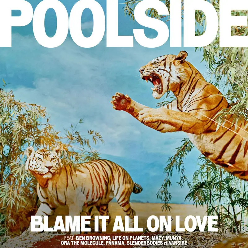 Blame it All on Love cover