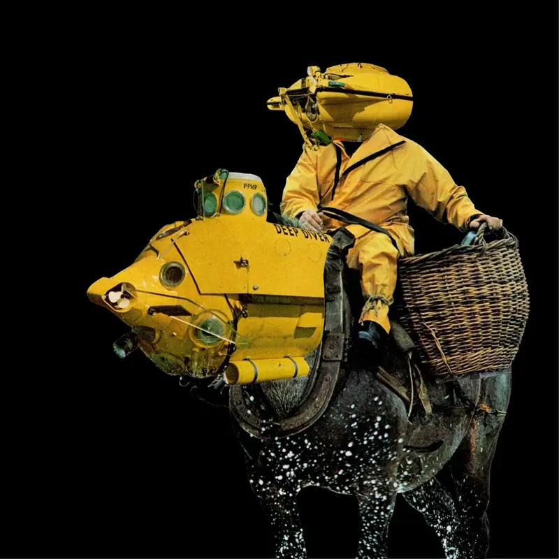 Deep Diver cover