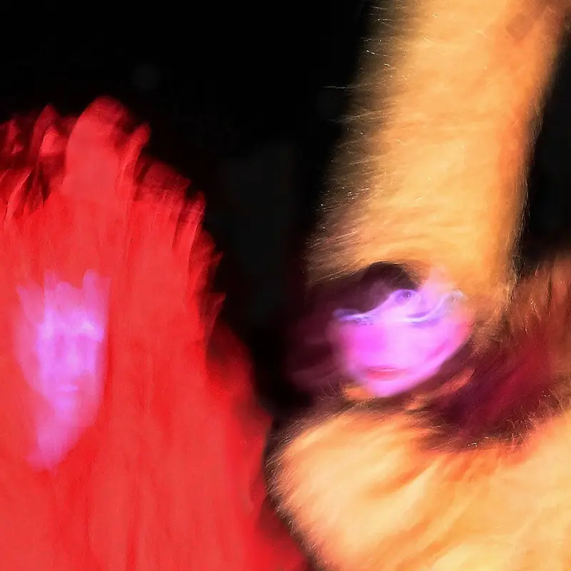 slif slaf slof cover