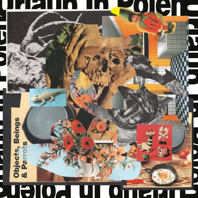 Objects, Beings & Parrots cover