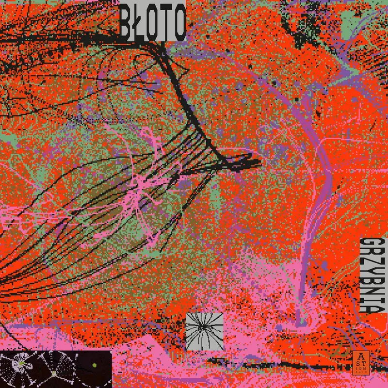 Grzybnia cover