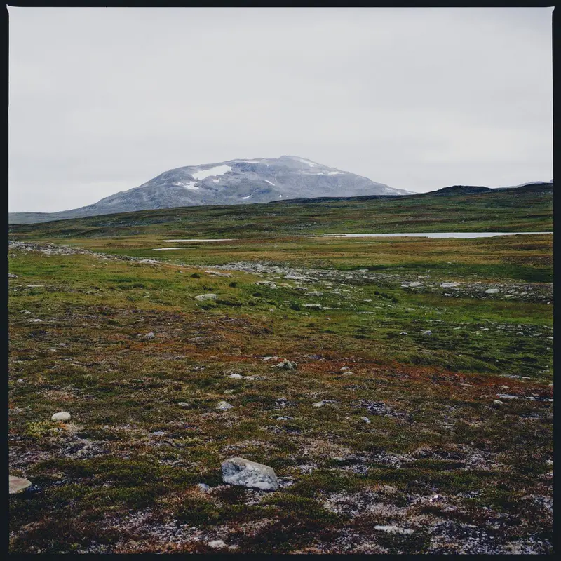 Tundra cover