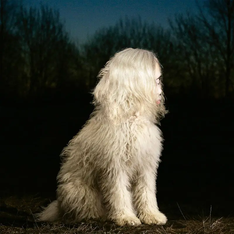 DOGA cover