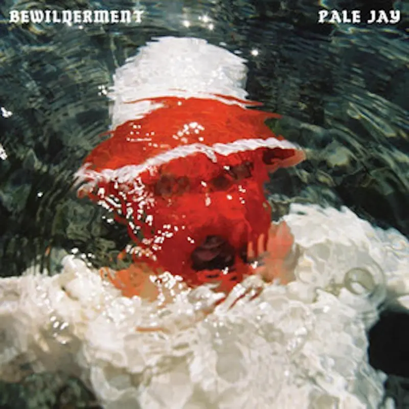 Bewilderment cover