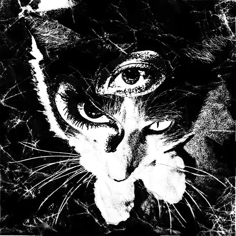 Remains cover