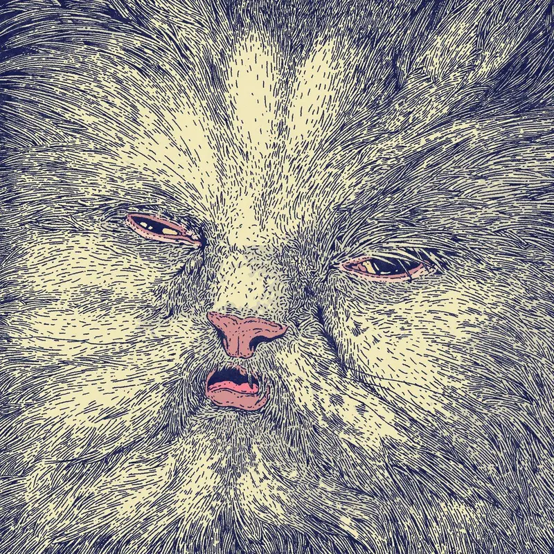 Mimi cover