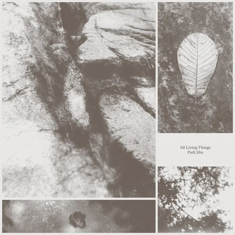 All Living Things cover