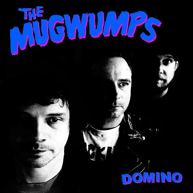 Domino cover
