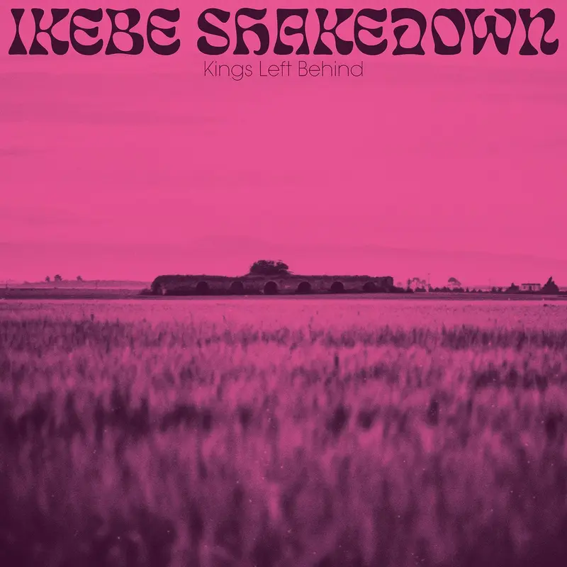 Kings Left Behind cover