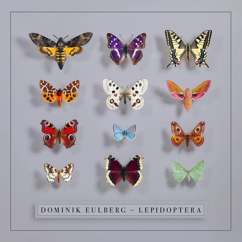 Lepidoptera cover