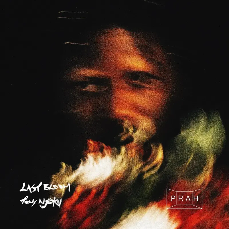 Last Bloom cover