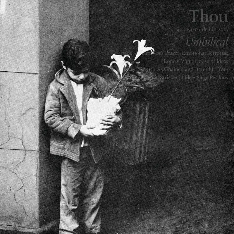 Umbilical cover