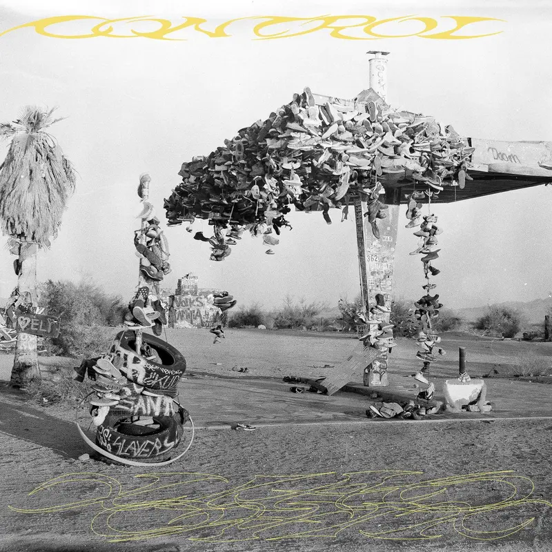 Control cover