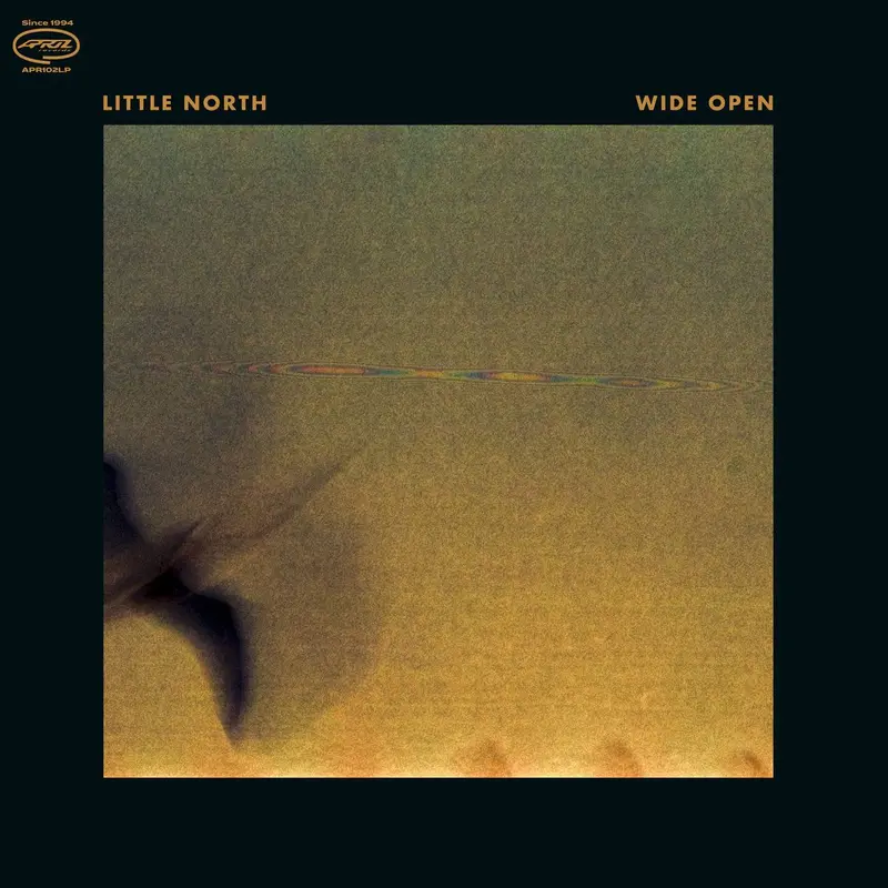 Wide Open cover