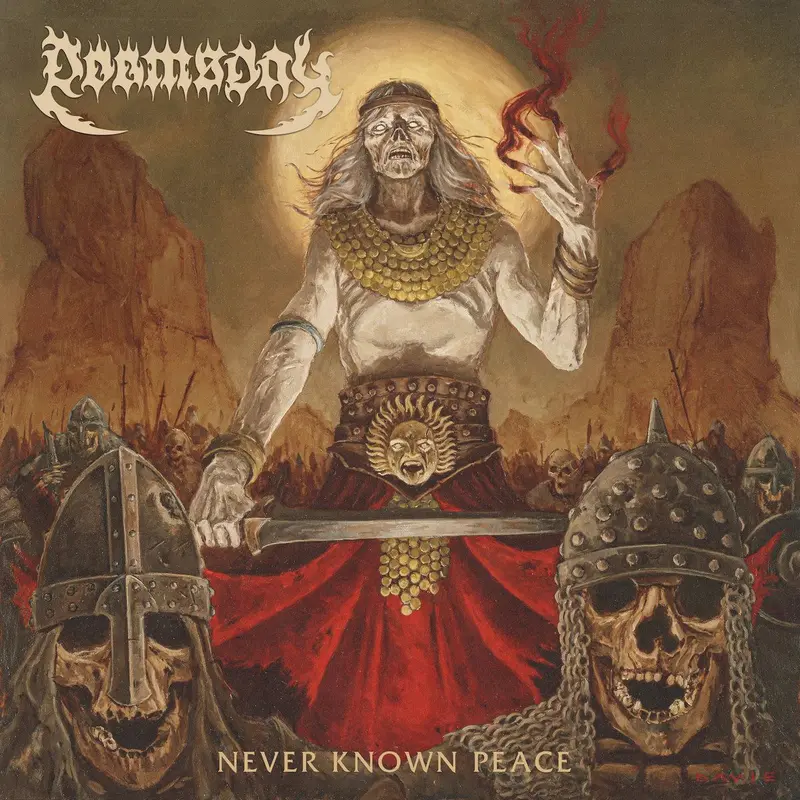 Never Known Peace cover