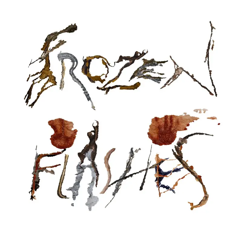 Frozen Flashes cover